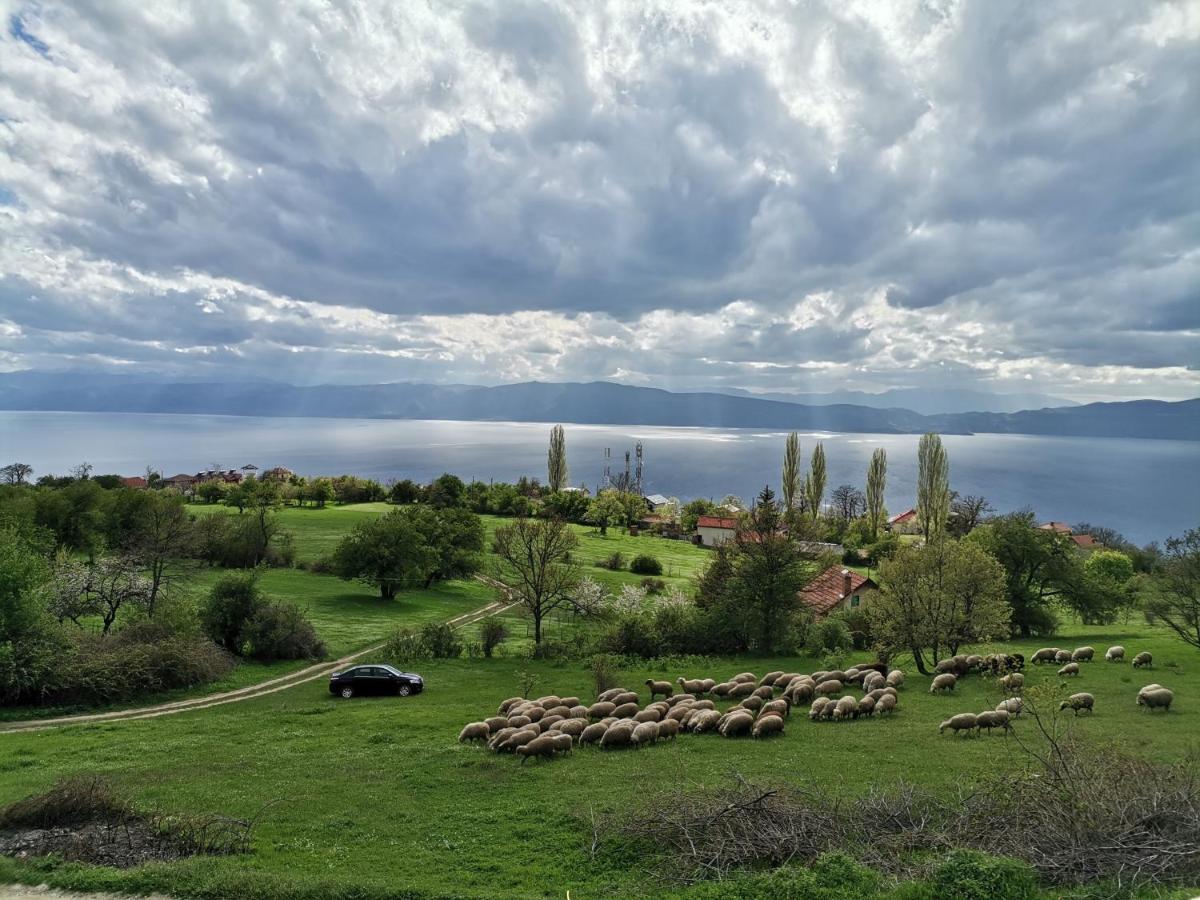 Villa Grkasha Ohrid Exterior foto